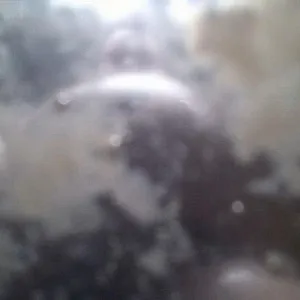 POV - Abspritzen und Pissen Galeriebild