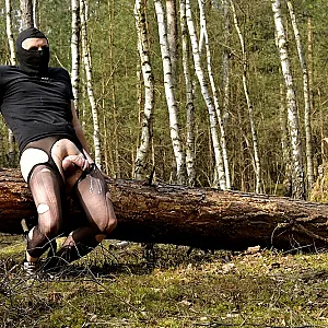 Wet Forest Operation gallery image