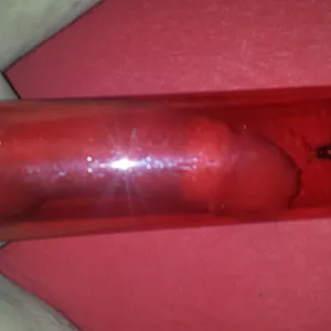 pumping cock gallery image