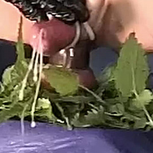 cumpics 1 gallery image