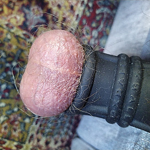 Meine privaten Aufnahmen Galeriebild