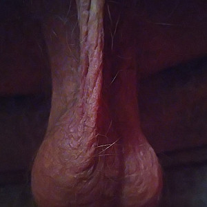 Meine privaten Aufnahmen Galeriebild