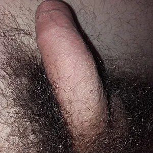 Hairy pics gallery image