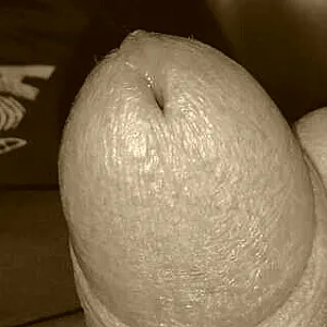 precum gallery image