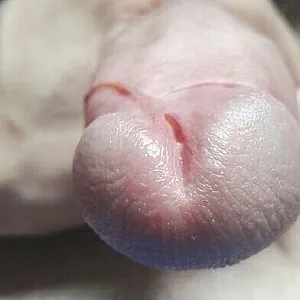 my cock gallery image