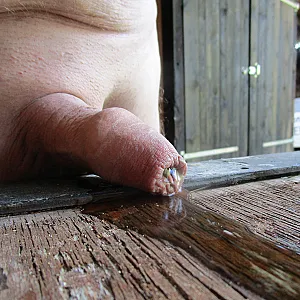 peeing gallery image