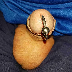 my piercing gallery image
