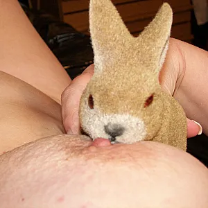 Horny bunnies 2 gallery image