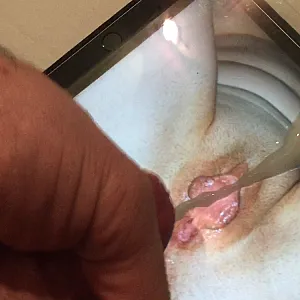 Auf Manu69 abgesahnt. Galeriebild