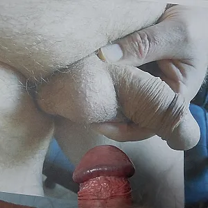 Fremdhoden besamen Galeriebild