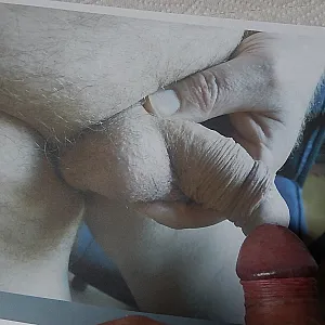 Fremdhoden besamen Galeriebild