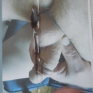 Fremdhoden besamen Galeriebild