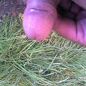 me gallery image