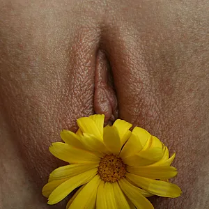 we gallery image