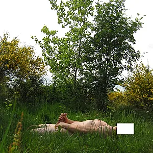 springfeelings gallery image