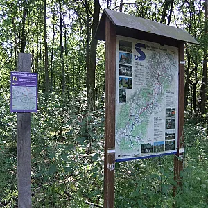 pics from a nude walk gallery image
