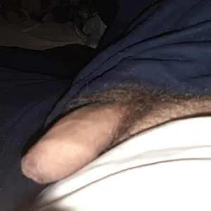 asshole gallery image