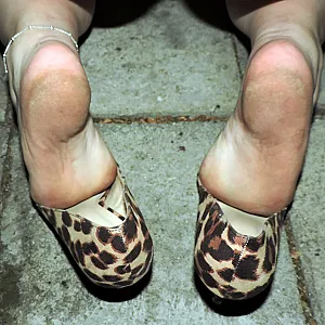 Fotze,High Heels,Titten und Arsch Galeriebild