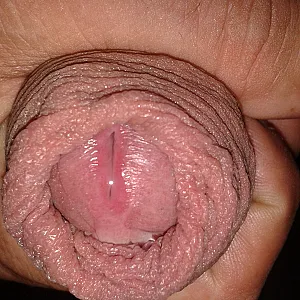 cock pics gallery image