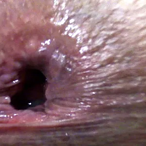 Anal und Fotzencreampie Galeriebild