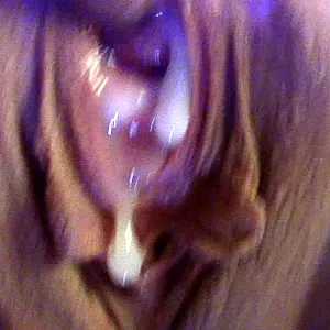 Anal und Fotzencreampie Galeriebild