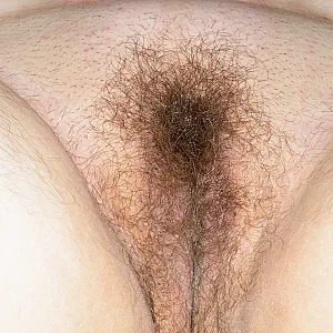 my hairy pussy gallery image