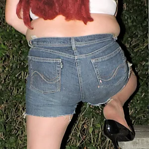 Tits, Cunt in nylons and lacque pumps gallery image