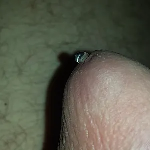 my cock gallery image