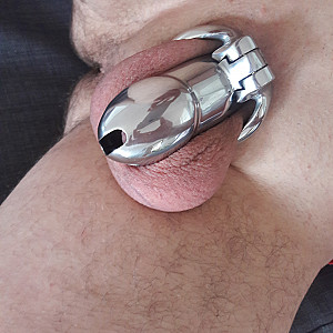 Cucki im Käfig Galeriebild