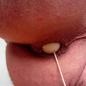 sextoys gallery image
