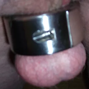 Ringe & Co Galeriebild