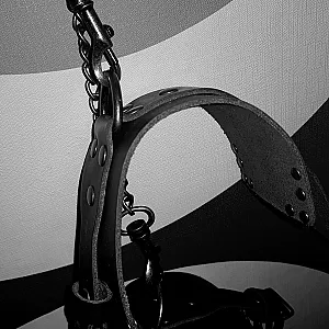 domina gallery image