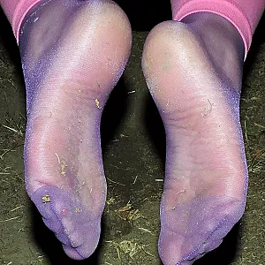 Leggins,Nylons,Titten,Arsch und Fotze Galeriebild