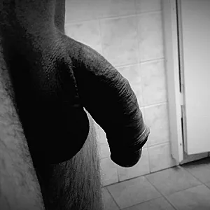 Picture fun gallery image
