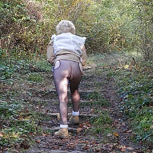 Take a walk in forest 2 gallery image
