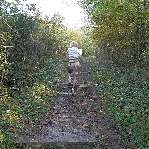 Take a walk in forest 2 gallery image