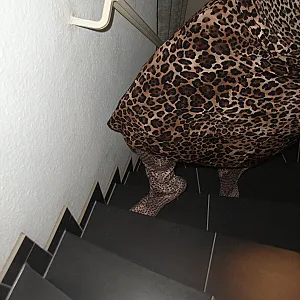 30.12.2012 gallery image