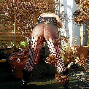 Dezember-Sonnenstrahlen Galeriebild