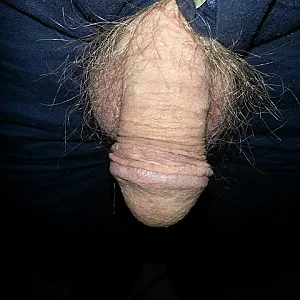 my little 2 gallery image