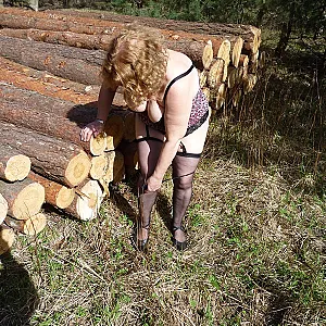 in the woods gallery image