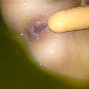 really devoted gallery image