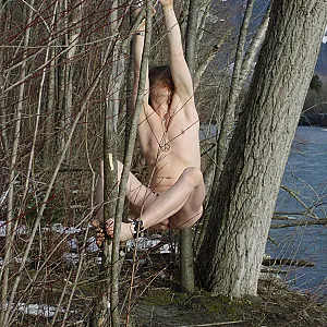Hippies on tour gallery image