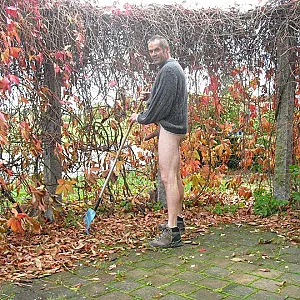 herbstlaub Galeriebild