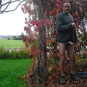 herbstlaub Galeriebild