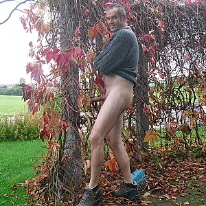herbstlaub Galeriebild