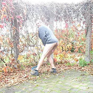 herbstlaub Galeriebild