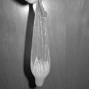 black&white gallery image