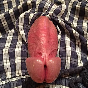 My dick gallery image