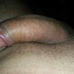 Mein rasierter Schwanz Galeriebild