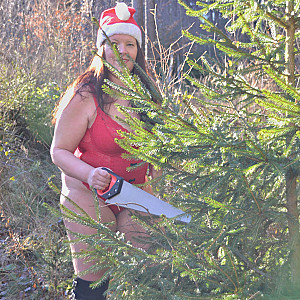 Sexy Weihnachtsbaum suchen 2 Galeriebild